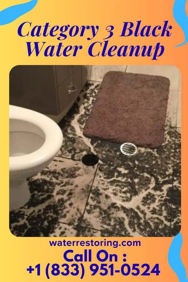 Category 3 Black Water Cleanup in Indianapolis, IN