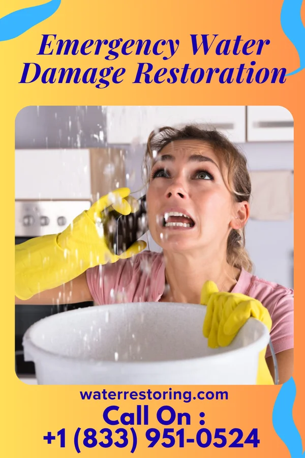 Emergency Water Damage Restoration in Indianapolis, IN