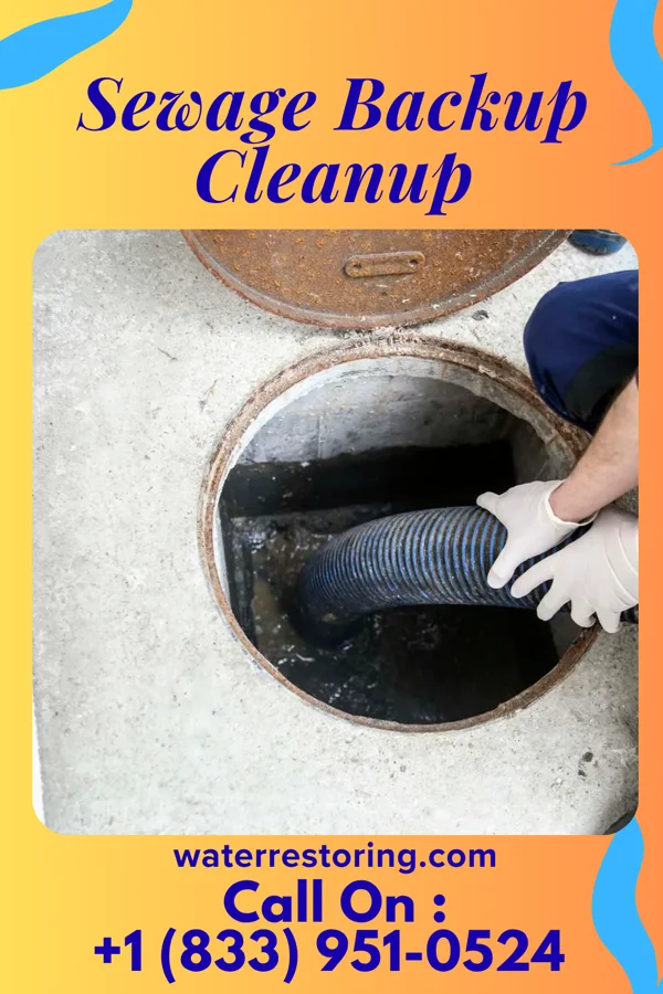 Sewage Backup Cleanup in Indianapolis, IN